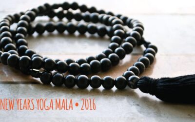 Yoga Mala 2016 at MGYS