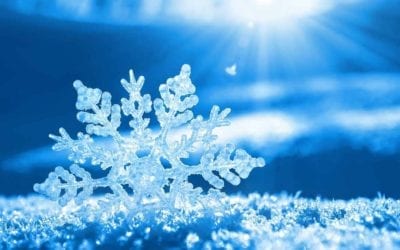 SNOW DAY